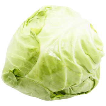 Imported Young Cabbage - buy, prices for METRO - photo 1