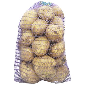 Vegetables potato Kalynivka 1000g Ukraine - buy, prices for Epicentr FOOD - photo 1