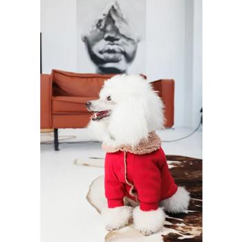 Кардиган для собак Pet Fashion Garcia S - купить, цены на MasterZoo - фото 7