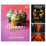 Zibi Urban Kids Line School Diary A5+ 40 sheets