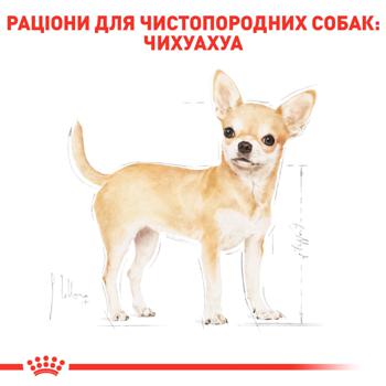 Корм вологий Royal Canin з домашньою птицею для дорослих собак породи чихуахуа 9+3шт х 85г - купити, ціни на MasterZoo - фото 4