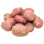 Vegetables potato pink fresh