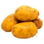 Картопля молода українська