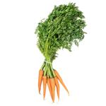Young Carrots Bunch