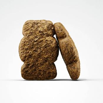 Josera Kids Dry Food with Poultry for Puppies of Medium and Large Breeds 12.5kg - buy, prices for MasterZoo - photo 2