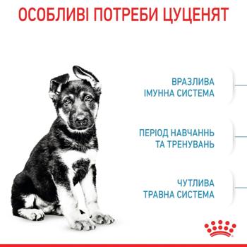 Royal Canin Maxi Puppy сухий корм для цуценят 12 кг - купити, ціни на MasterZoo - фото 2
