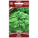 Golden Garden Matador Spinach Seeds 3g