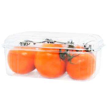 Помідор помаранчевий на гілці кг  - купить, цены на WINETIME - фото 1