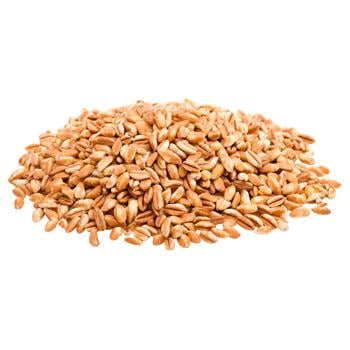 Packed Pearl Barley Groats - buy, prices for EKO Market - photo 2