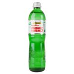 Poliana Kupel-5 Strongly Carbonated Mineral Water 0.5l