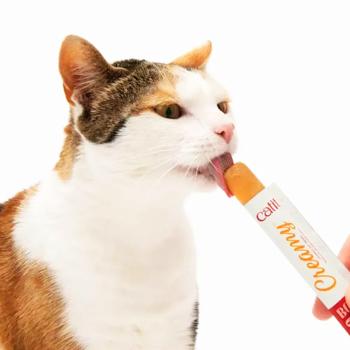 Catit Creamy Tuna & Flavor ласощі кремові для котів 4х10 г - тунець - купити, ціни на MasterZoo - фото 5