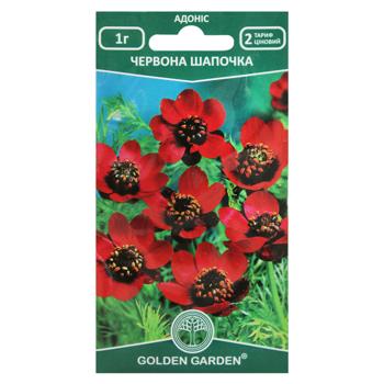 Golden Garden Red Cap Adonis Flowers Seeds 1g