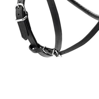 leash hunter black Germany - buy, prices for - photo 3