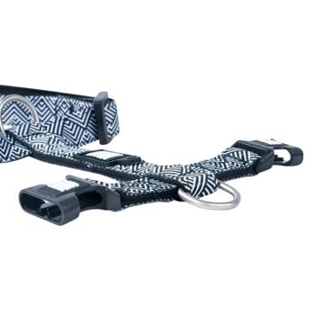 Leash Max and molly Germany - buy, prices for MasterZoo - photo 3