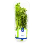 Metro Chef Fresh Cilantro 50g