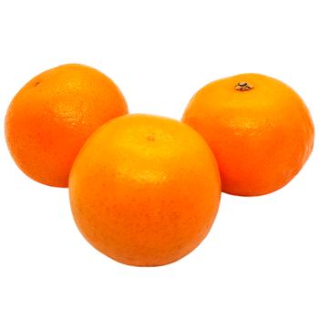 Tangerine - buy, prices for Vostorg - photo 1