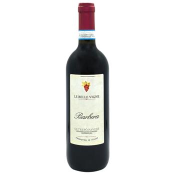 Wine 13% 750ml Italy - buy, prices for Chudo Market - photo 1