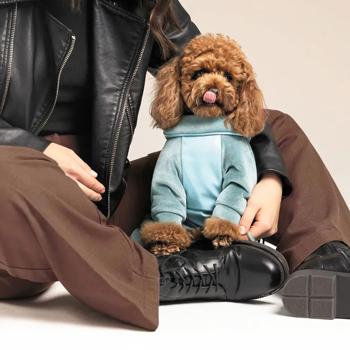 Комбинезон для собак Pet Fashion Comfort р.M - купить, цены на MasterZoo - фото 6