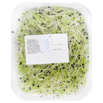 Microgreen Onions 50g - buy, prices for MegaMarket - photo 3