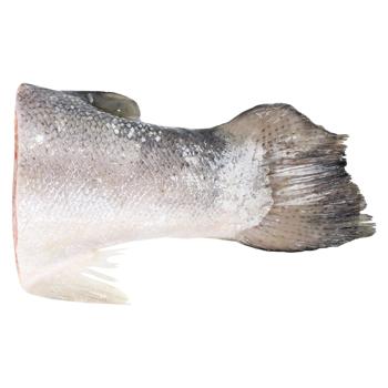 Trout Tail - buy, prices for MegaMarket - photo 1