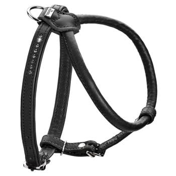 Hunter R&S Canadian UP Leather Dog Harness 37-43cm/14mm Black - buy, prices for MasterZoo - photo 1