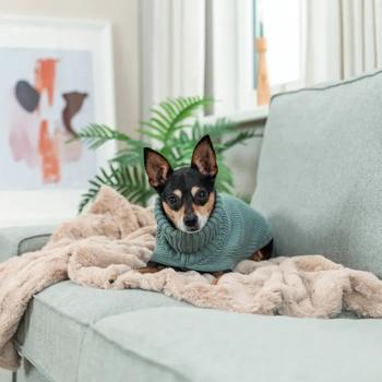 Свитер для собак Trixie CityStyle Berlin р.S2 мятный - купить, цены на - фото 5