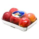 Metro Chef Gala Apples 6pcs