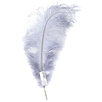 Ostrich Feathers 40-45cm 1pc in Assortment - buy, prices for ULTRAMARKET - photo 3