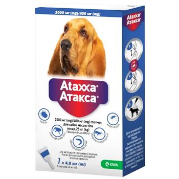 KRKA Ataxxa Drops on the Withers for Dogs from 25kg Against External Parasites 1 pipette