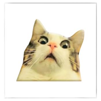 Sticker - buy, prices for MasterZoo - photo 1