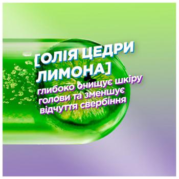 Шампунь для волосся Garnier Fructis Проти лупи очищувальний 250мл - купити, ціни на Таврія В - фото 4