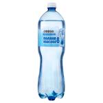 Poliana Kvasova 8 Medicinal Table Highly Carbonated Mineral Water 1.5l