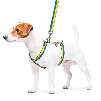 Waudog Nylon H-Shaped Harness for Dogs with QR Passport 30-40cm/15mm with Colors of Freedom Design - buy, prices for MegaMarket - photo 4