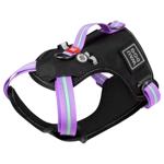 Leash "collar company" llc Ukraine