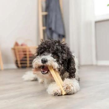 Ласощі для собак Trixie Chewing Паличка S 13,5 см / 45 г - сир - купити, ціни на MasterZoo - фото 5