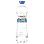 Truskavetska Highly Carbonated Mineral Water 0.75l