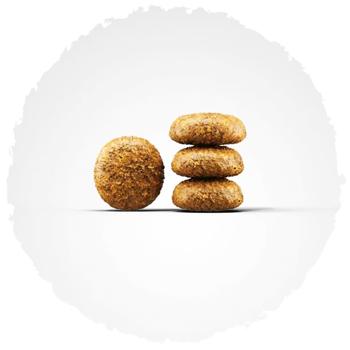 Food Josera 900g - buy, prices for MasterZoo - photo 5