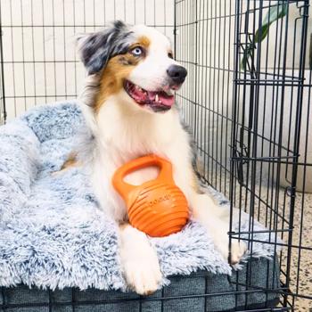 Іграшка для собак Doggi Catch & Carry Dumbbell 11,3х8,16х7,6см - купити, ціни на MasterZoo - фото 3
