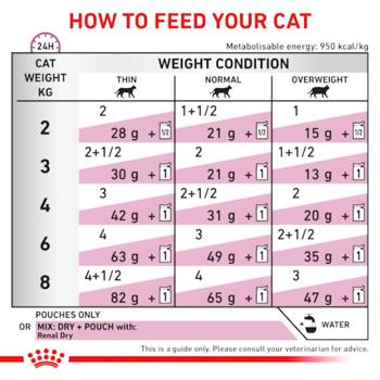 Food Royal canin 85g - buy, prices for MasterZoo - photo 3