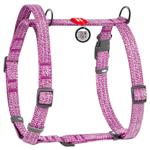 Leash Collar Ukraine