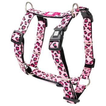 Leash Max and molly Germany - buy, prices for MasterZoo - photo 2