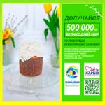 Italian Panettone 360g