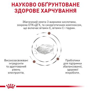 Корм сухой Royal Canin Gastrointestinal Low Fat Small для малых собак с заболеваниями желудочно-кишечного тракта 1,5кг Корм сухой Royal Canin Gastrointestinal Low Fat Small для малых собак с заболеваниями желудочно-кишечного тракта 1,5кг - купить, цены на - фото 3