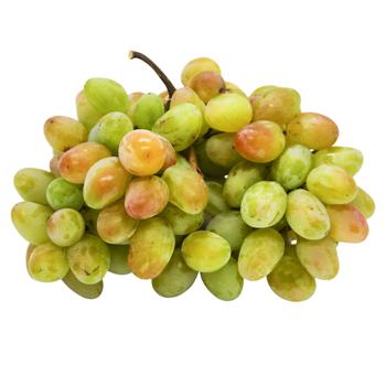 Transfiguration Grapes - buy, prices for - photo 1