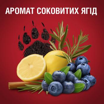 Old Spice Bearglove Solid Deodorant 50ml + Old Spice Bearglove Aerosol Deodorant 150ml + Old Spice Bearglove Shower Gel 2in1 250ml Gift Set - buy, prices for Tavria V - photo 4