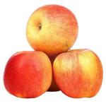 Fruit apple champion fresh
