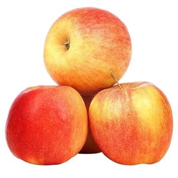 Fruit apple champion fresh - buy, prices for Ideal - photo 1