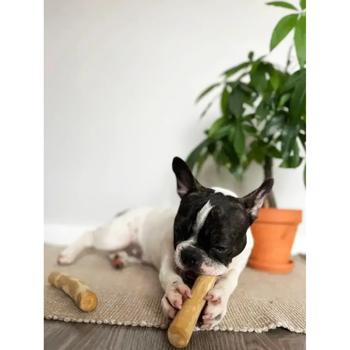 HealthyDoggo Coffee Tree Stick Dog Toy S 14-15cm - buy, prices for MasterZoo - photo 6