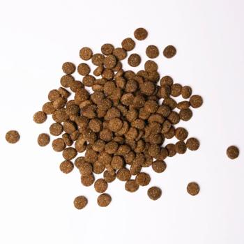 Savory Dry Food with Turkey and Chicken for Puppies of Large Breeds 12kg - buy, prices for - photo 2