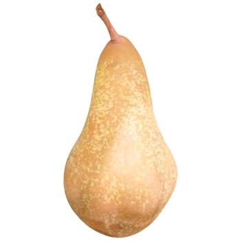Груша Metro Chef Аббат Фетель - купити, ціни на - фото 2